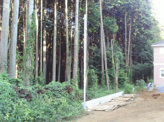 中継用ポール