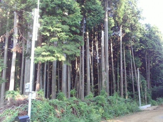 引き込みポールと中継ポール